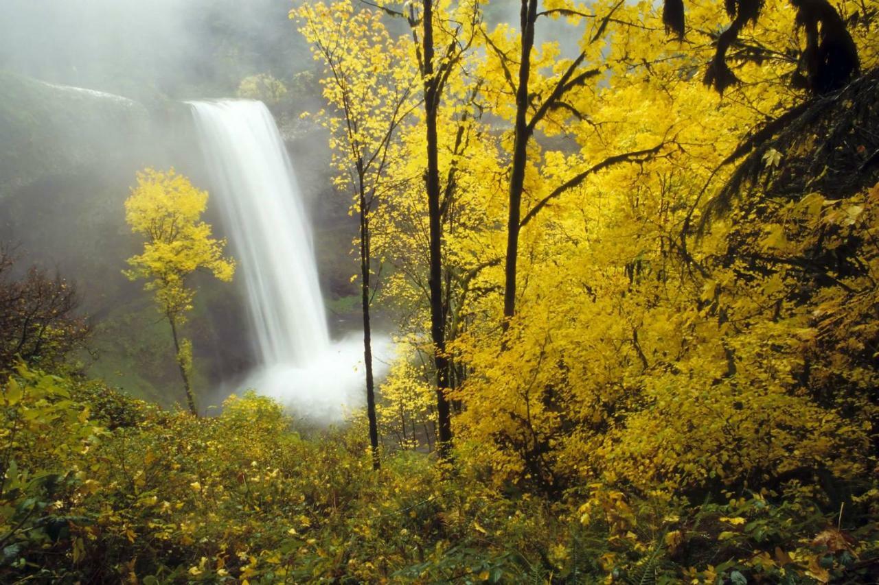 Silver Falls Lodge & Conference Center Sublimity ภายนอก รูปภาพ
